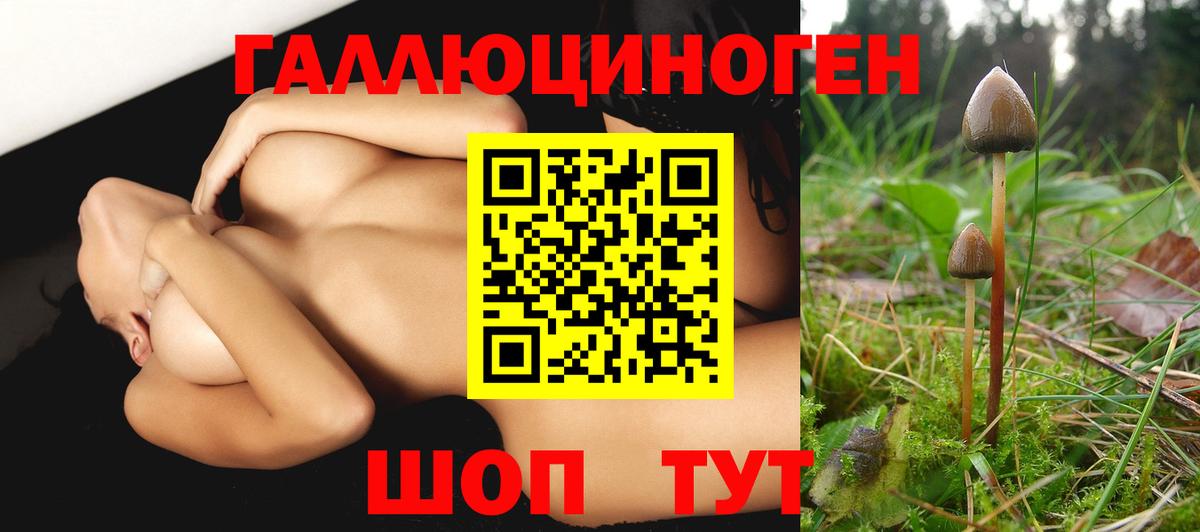 Югорск  Псилоцибиновые грибы GOLDEN TEACHER  Вход с VPN 